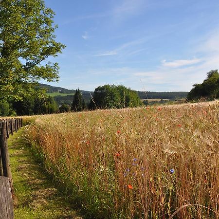 Willa Haus Hippelstein Gönnersdorf Zewnętrze zdjęcie