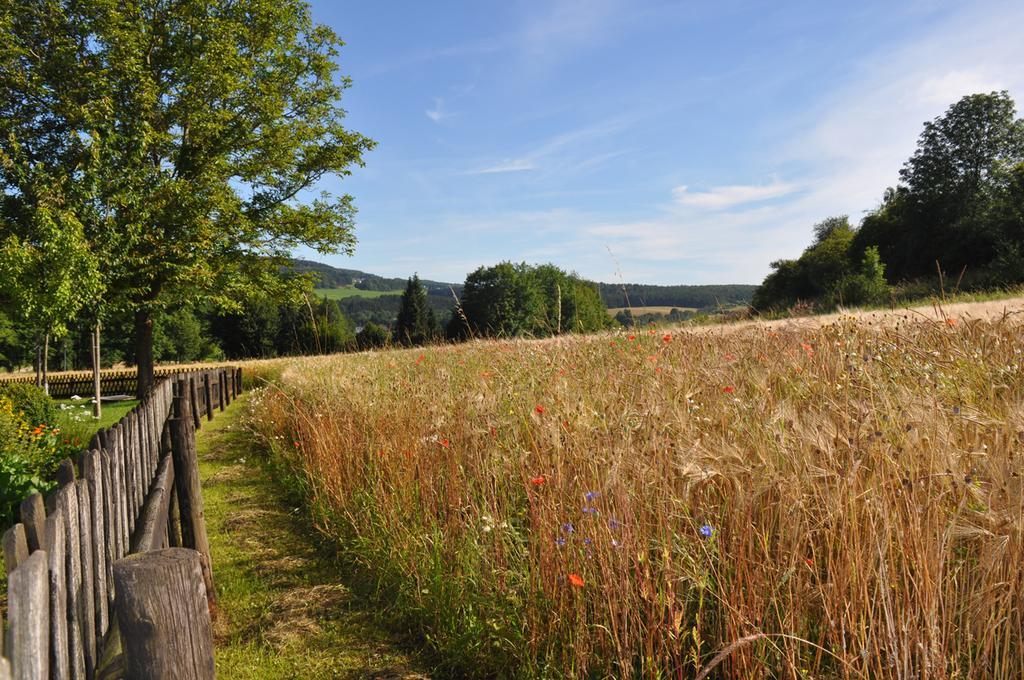 Willa Haus Hippelstein Gönnersdorf Zewnętrze zdjęcie