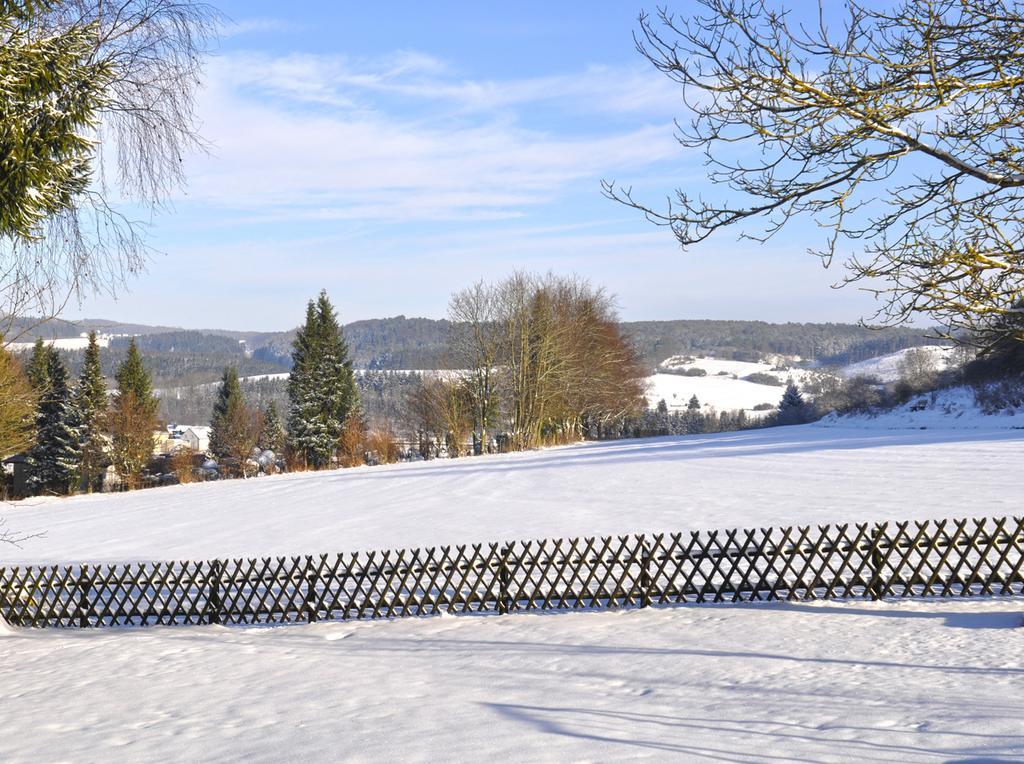Willa Haus Hippelstein Gönnersdorf Zewnętrze zdjęcie